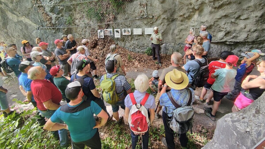 Vergangenheit, Gegenwart und Zukunft des Waldes: Die Teilnehmenden der Exkursion erfahren unter anderem, dass im Gonzenwald die Naturverjüngung stimmt. (Pressebild)