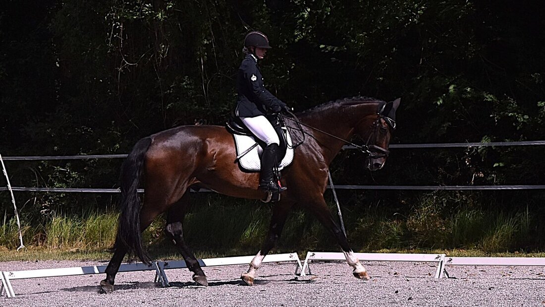 Impressionen von der Vereinsmeisterschaft des Reitvereins Gonzen. (Pressebild)