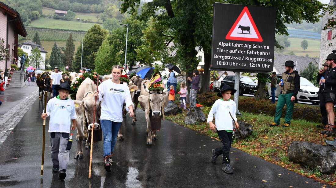 Sichtbarer Stolz bei der Ankunft im Städtli: Alp Schrina kehrt rund drei Wochen früher vom Walenstadtberg heim. (Bilder: Guido Städler)
