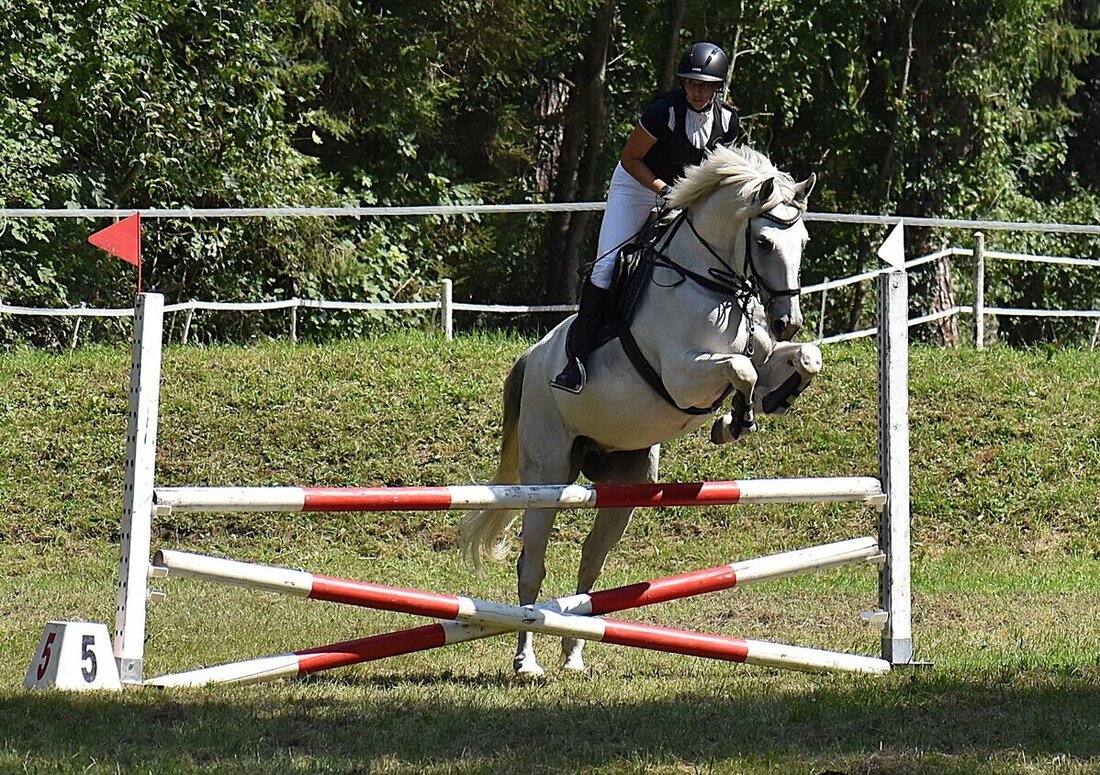 Impressionen von der Vereinsmeisterschaft des Reitvereins Gonzen. (Pressebild)