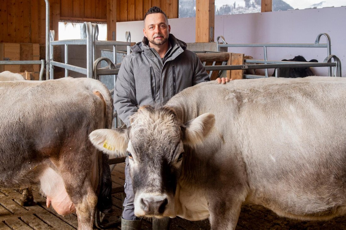 Zieht das Urteil weiter: Mathias Caflisch aus Maladers inmitten seiner Mutterkühe. Er hat sich mit sieben anderen Landwirten vor Obergericht gegen das Impfobligatorium gewehrt. (Bild: Corinne Thöni)