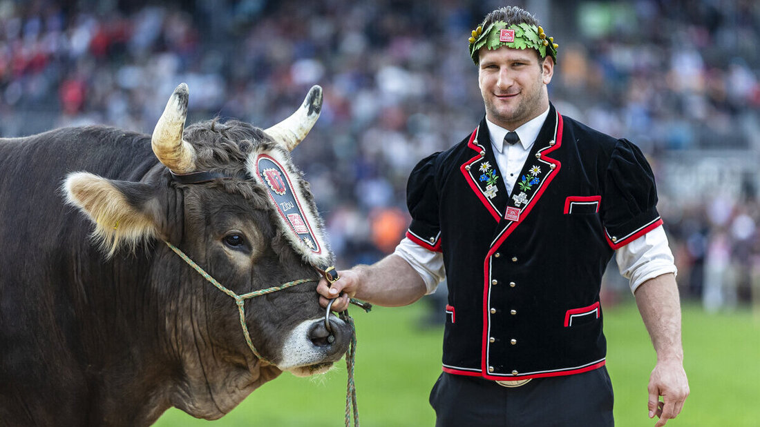 Der Schwingerkönig kommt: Armon Orlik schnürt in Mels die Fussballschuhe. (Bild: Keystone)