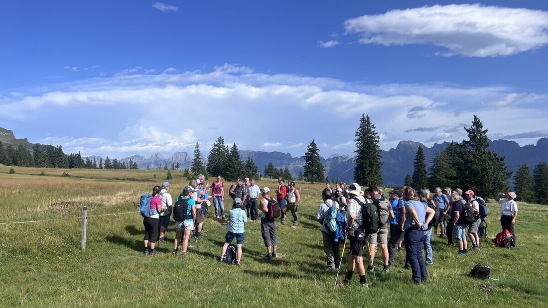Auf der Alp Tamons: Die Teilnehmenden des Alpwirtschaftskurses informieren sich vor Ort. (Bilder: Hans Bärtsch)