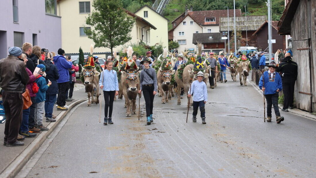 Spektakel: Die Melser Alpabfahrten. Bilder Ignaz Good