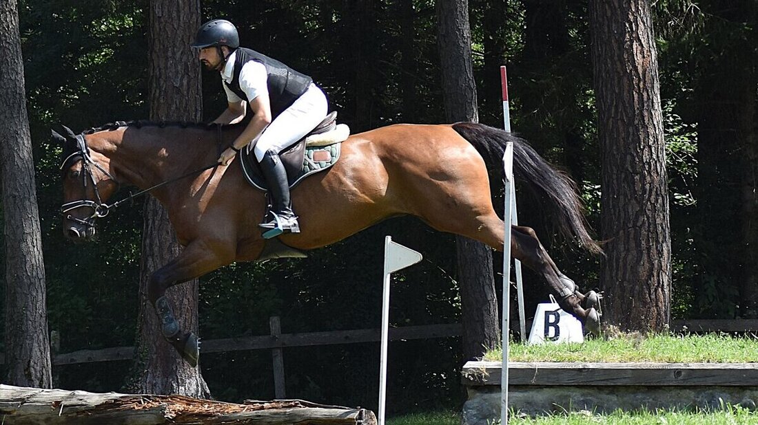Impressionen von der Vereinsmeisterschaft des Reitvereins Gonzen. (Pressebild)