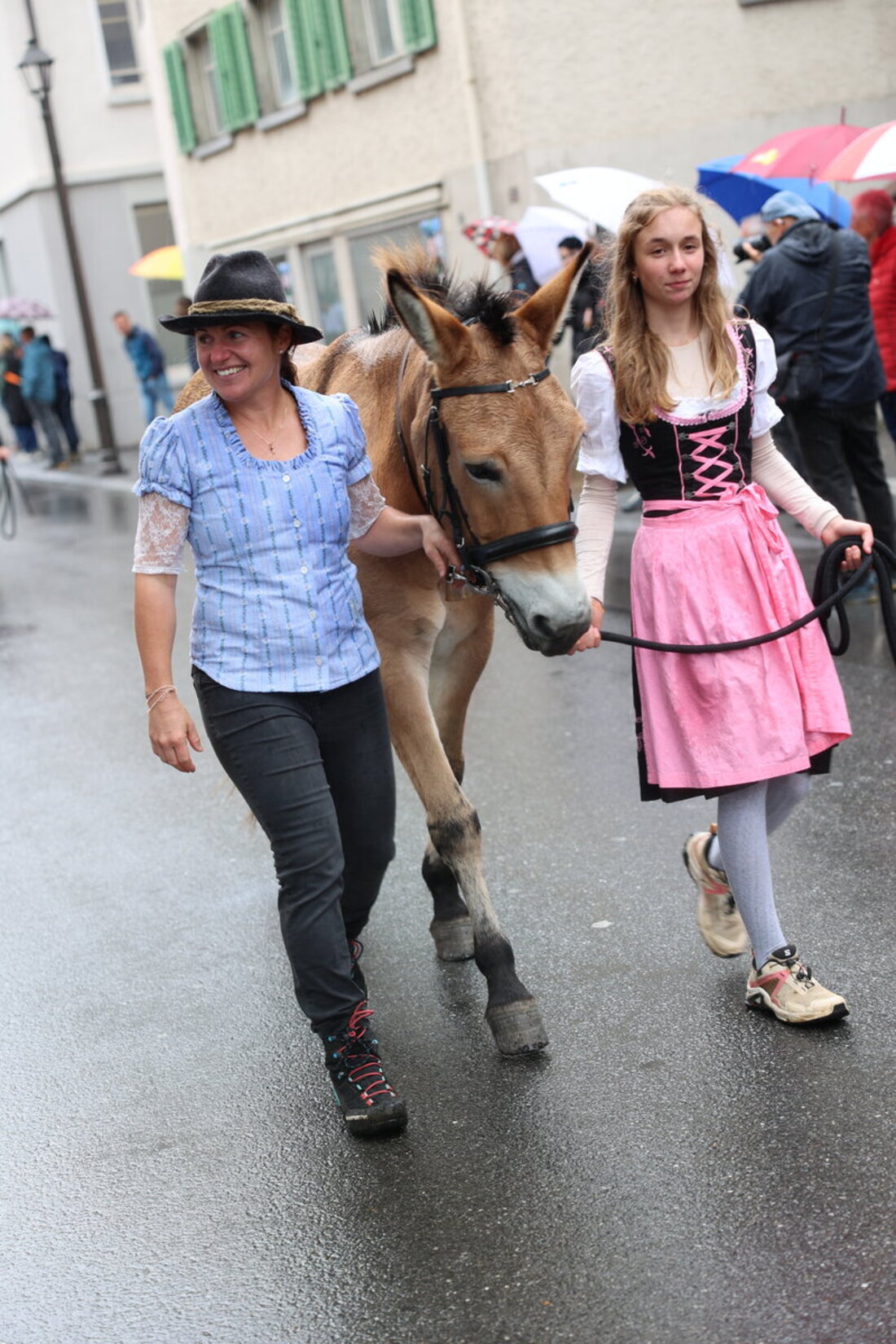 Spektakel: Die Melser Alpabfahrten. Bilder Ignaz Good