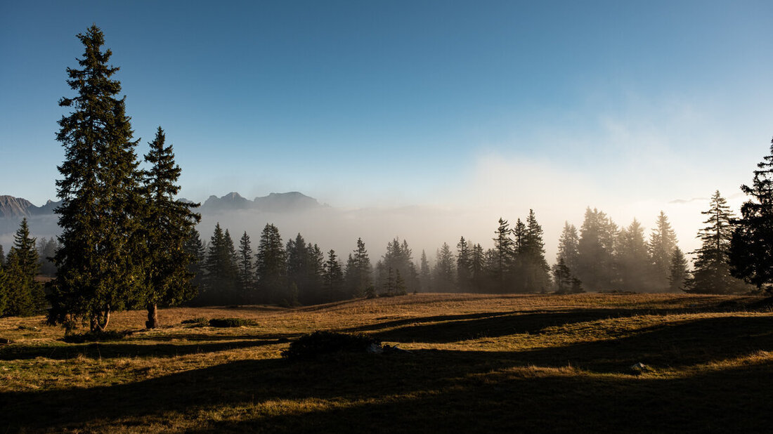 Alp Tamons (Tobias Kurath)