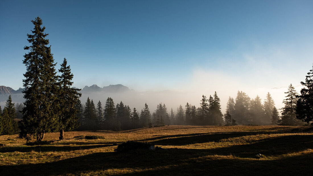 Alp Tamons (Tobias Kurath)