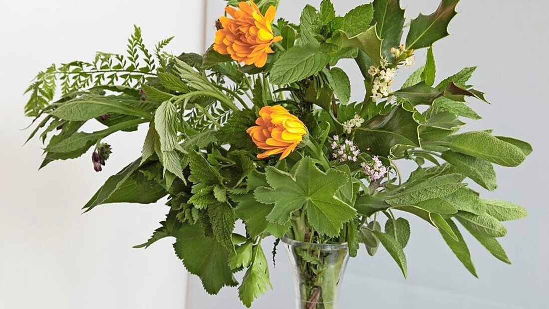 Natürlich: Pflanzen spielen bei den Kulturanlässen in der Alten Post eine Hauptrolle. (Pressebild) 140509_140518.jpg