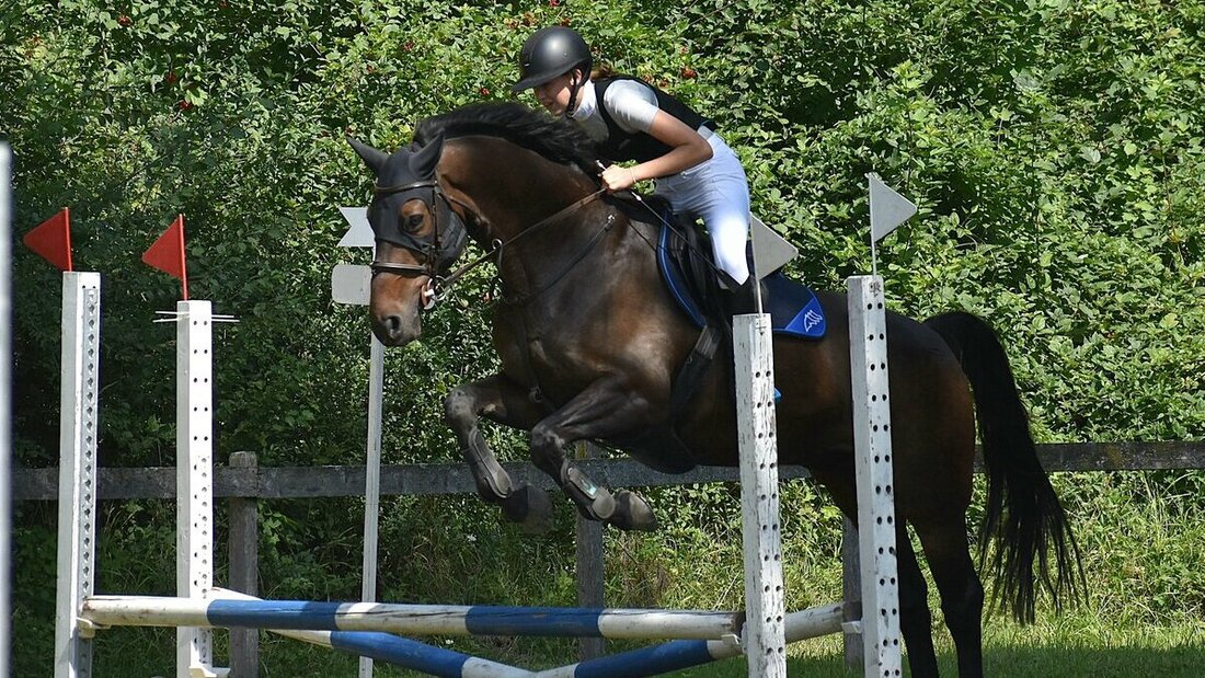 Nervenstarkes Duo: Juniorin Amélie Sieber und Warano gewinnen auch die Springprüfung der Aktiven. (Pressebild)