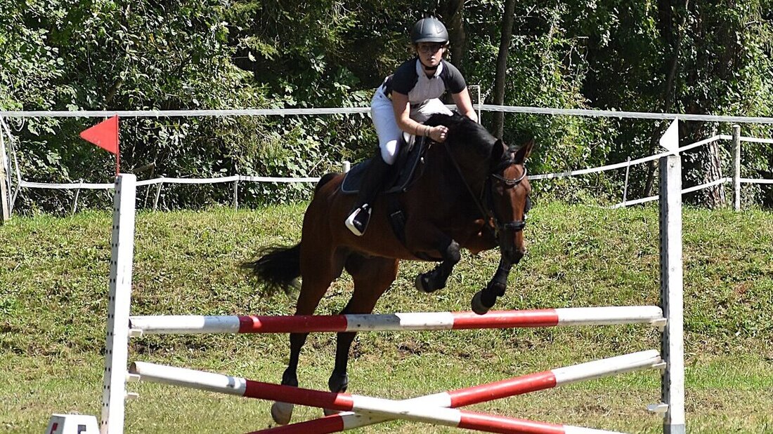 Impressionen von der Vereinsmeisterschaft des Reitvereins Gonzen. (Pressebild)