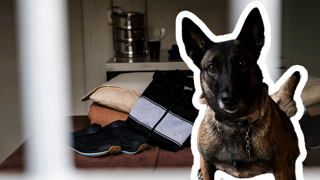 Erwischt: Einer der Einbrecher konnte mit Hilfe von Diensthündin Cara gefasst werden.
(Bilder: Kantonspolizei Graubünden/Bildmontage: Südostschweiz)