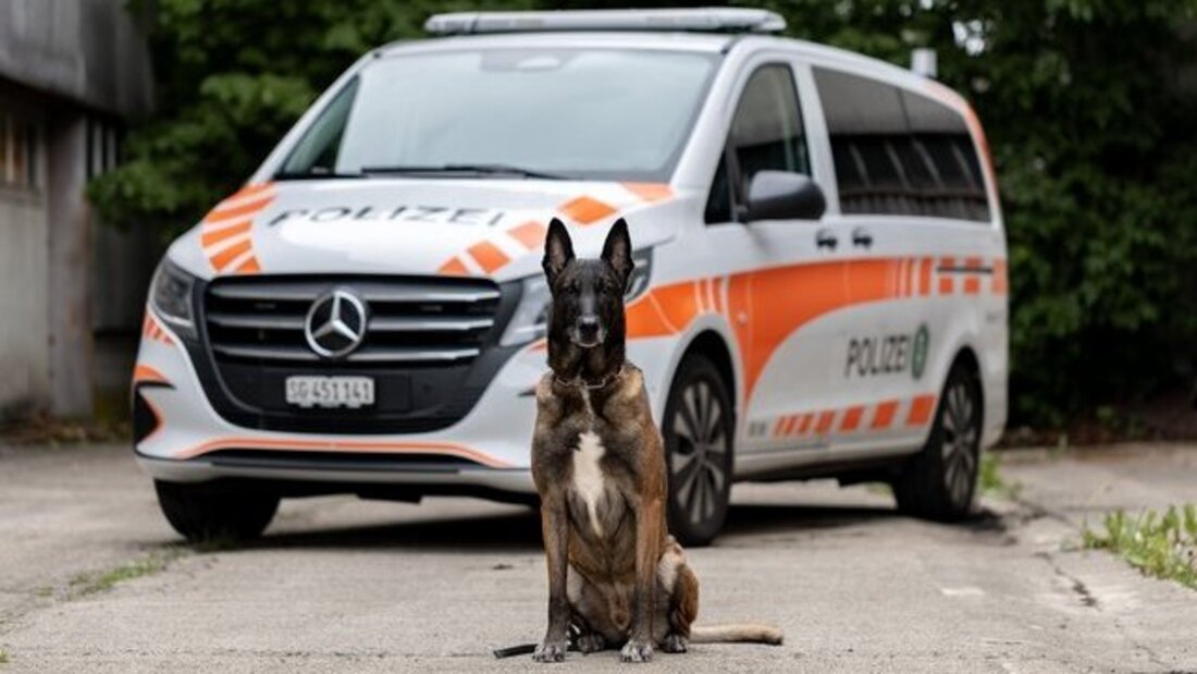 Hat einen Täter gefunden: Diensthund Ike. (Pressebild)