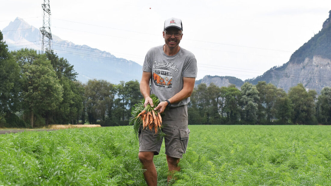 Von Karotten zu Kartoffeln bis zu kleinen Samen:
Die Trockenheit macht Gemüsebauer Benno Hörler zu schaffen. (Bilder: Severin Meli)