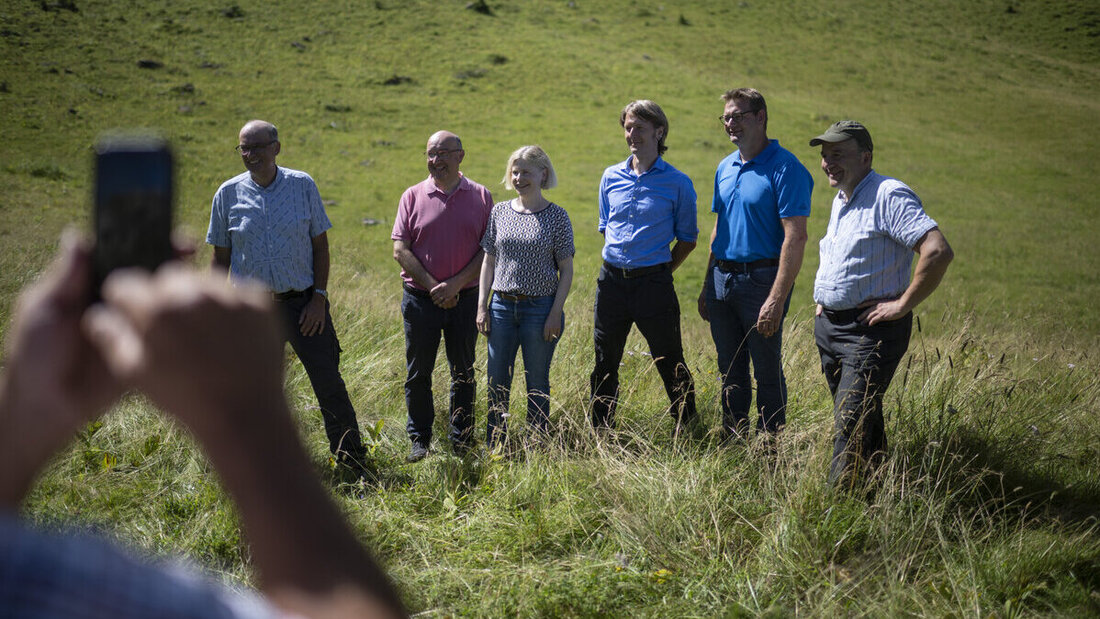 SCHWEIZ WOLFSRISSE ALP HALDE