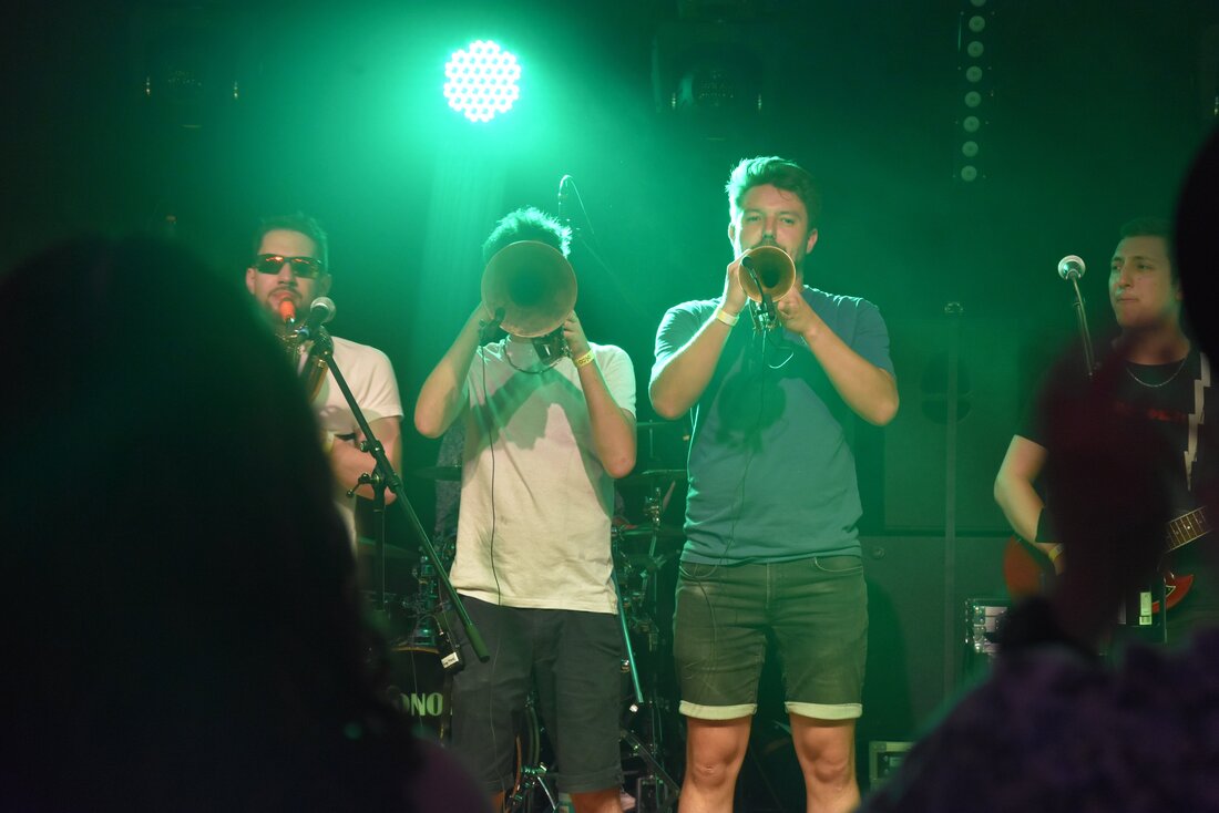 In ihrem Element: Markus Lutz und Marco Oberholzer haben ihre Instrumente im Griff. (Bilder Patricia Hobi, Michael Kohler, Pressedienst)