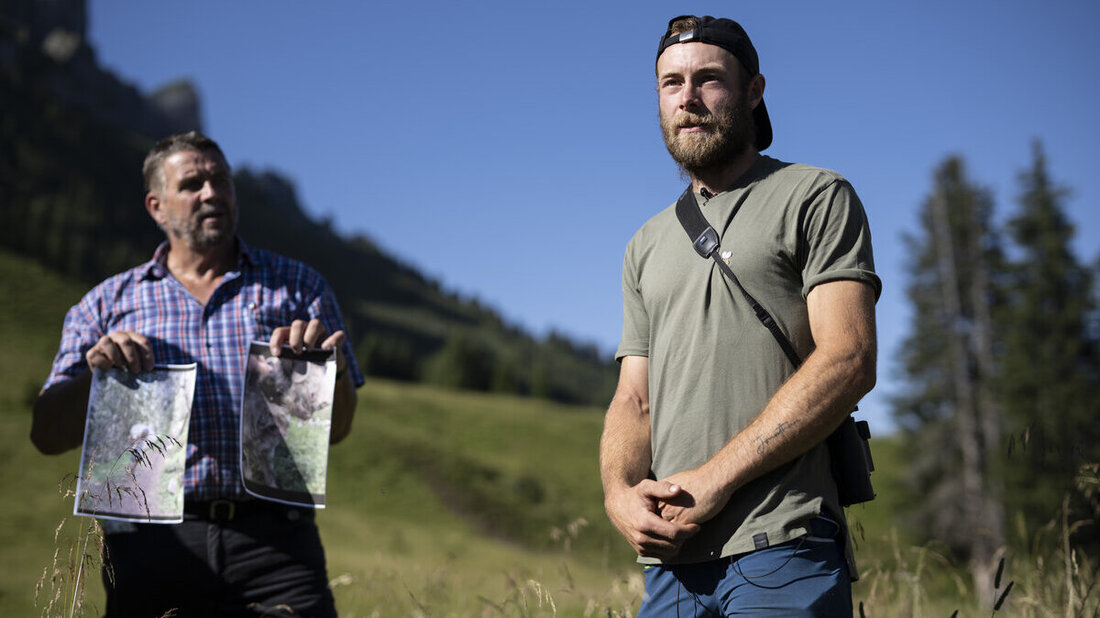 SCHWEIZ WOLFSRISSE ALP HALDE