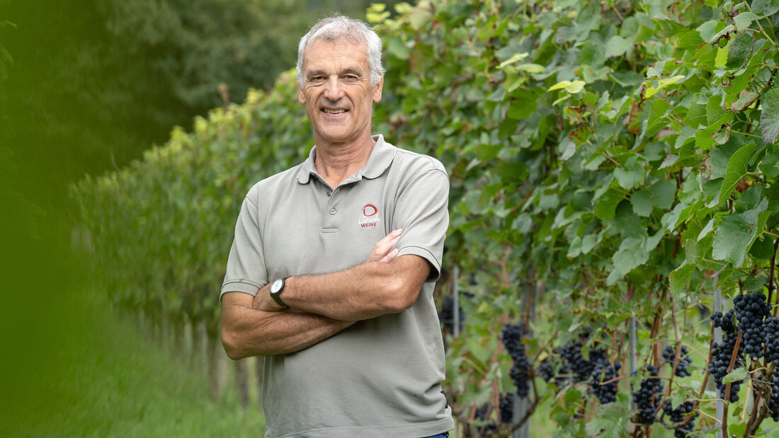 Den Blick voraus: Als Winzer und Präsident von Graubünden Wein vertritt Ueli Liesch aus Malans neben seinem Weingut die gesamte Gilde der Bündner Winzerinnen und Winzer. (Bild: Olivia Aebli-Item)