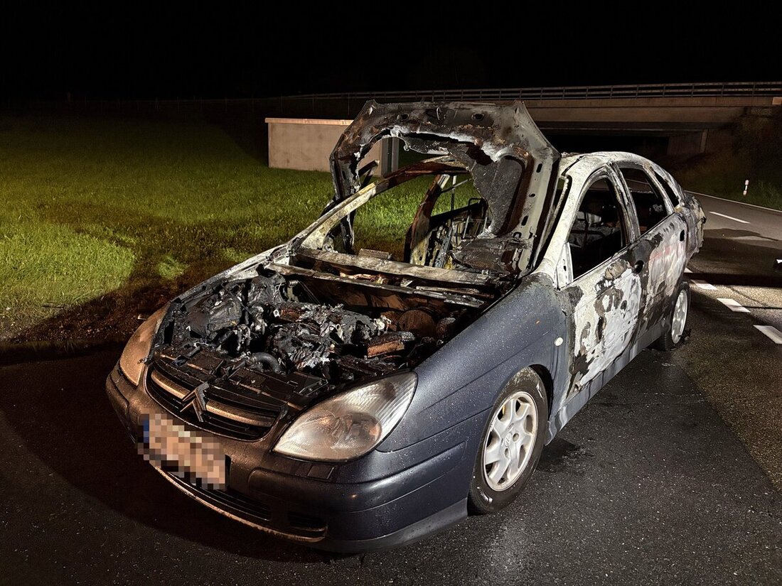 Die Feuerwehr konnte den Brand löschen, ein Abbrennen des Autos aber nicht verhindern. (Bilder: Kapo)