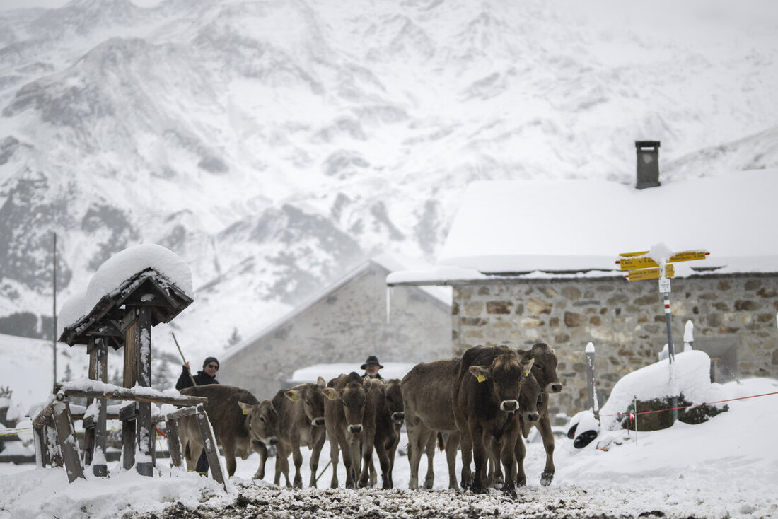 SCHWEIZ HERBST WINTER ALPABZUG