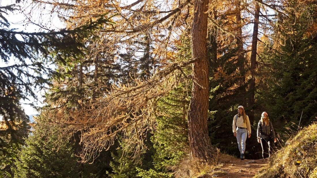 Lohnender Aufstieg: Oberhalb des Bergdorfs Albinen im Wallis liegt die Alp Tschärmilonga. Ist das Ziel erreicht, reicht der Blick über das ganze Rhonetal bis zum Mont Blanc. (Pressebild)