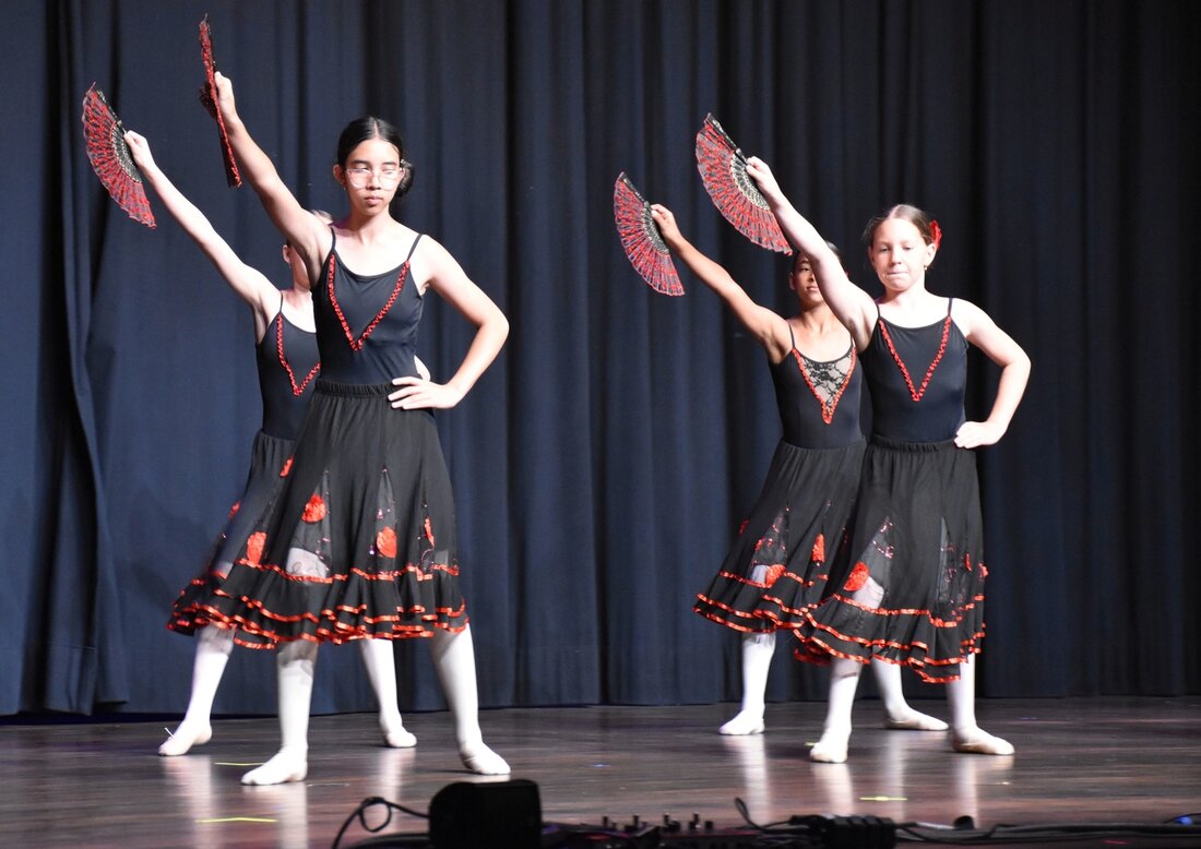 Kulturell hochstehend: Die Ballettgruppen aus der Ballettschule Jasmin Notari zeigen zauberhafte Choreografien. 198739_198732.jpg