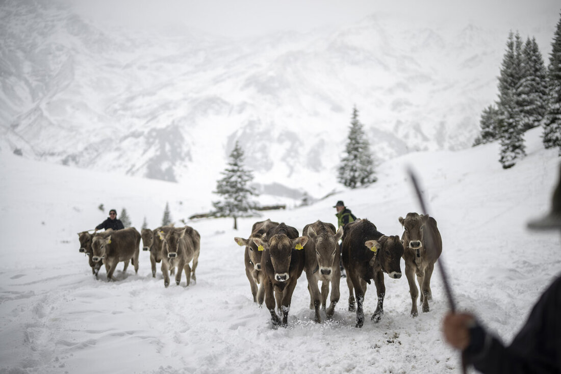 (Bilder Gian Ehrenzeller/Keystone)