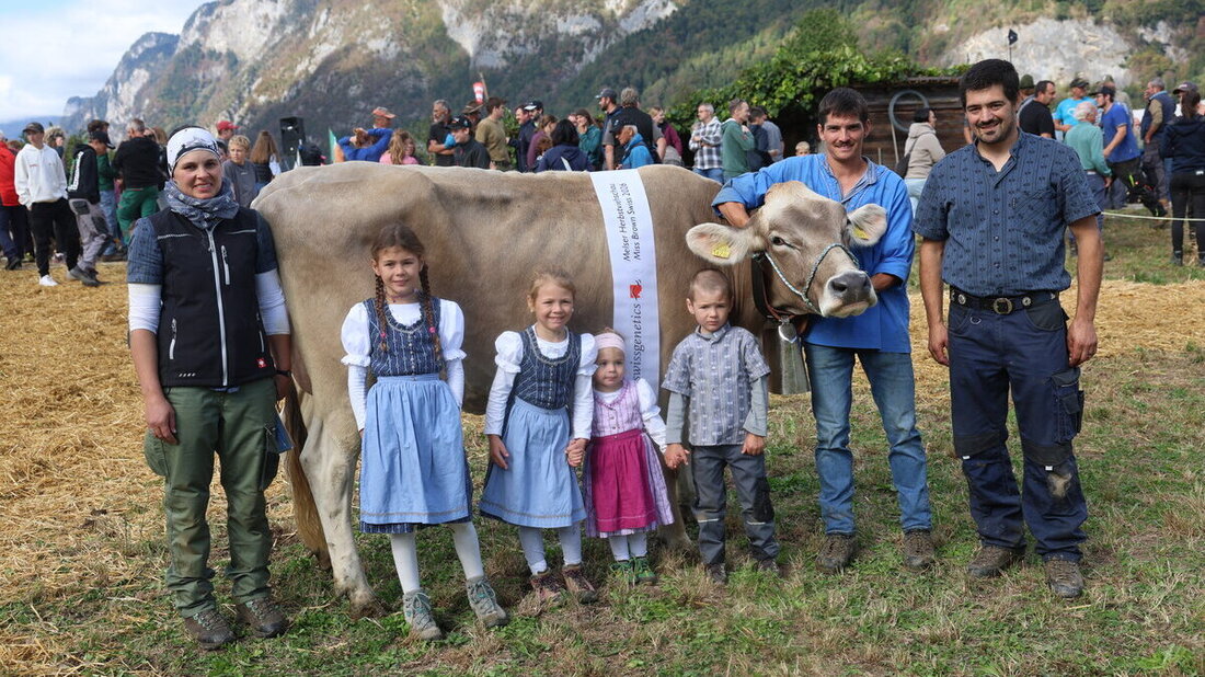 Bei Ringwettbewerben zählen mehr als grosse Augen: Zur Tagessiegerin als Miss Mels 2026 wurde «Tessa» von Corina und Philipp Pfiffner vom Melser Hinterberg von Experte Christian Gasenzer gewählt. (Bilder: Ignaz Good)