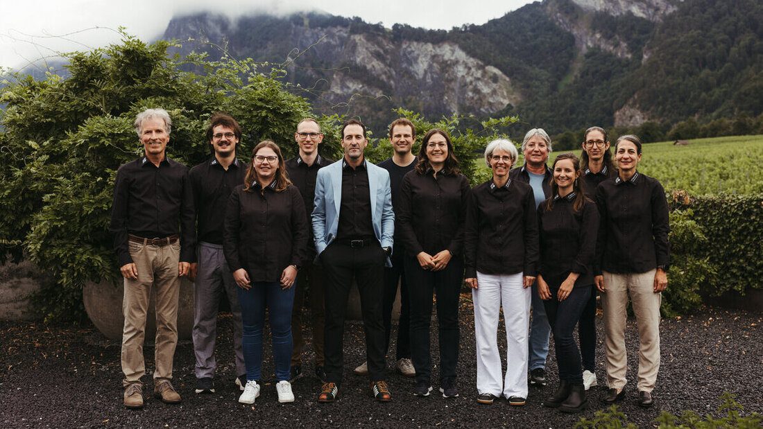 Das zwölfköpfige Team der Uli Lippuner AG in Sargans. (Pressebilder)