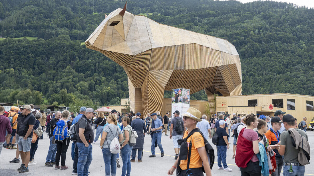 Das Ende naht: Muni Max wird das Glarnerland bald verlassen. (Bild: Keystone)