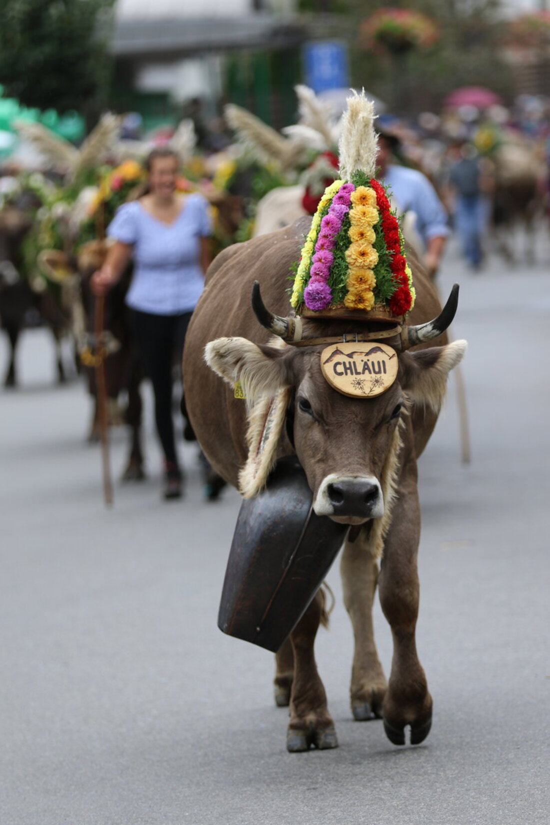 Spektakel: Die Melser Alpabfahrten. Bilder Ignaz Good