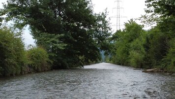 202820_202848.jpg