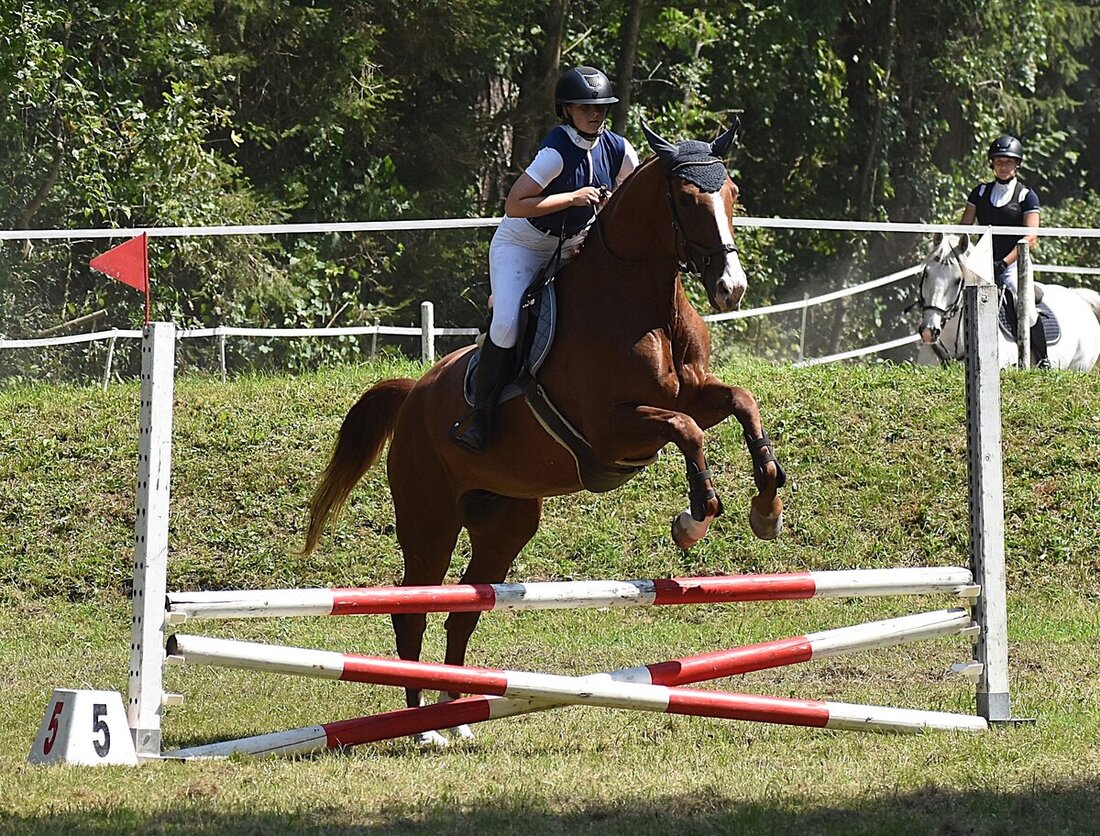 Impressionen von der Vereinsmeisterschaft des Reitvereins Gonzen. (Pressebild)