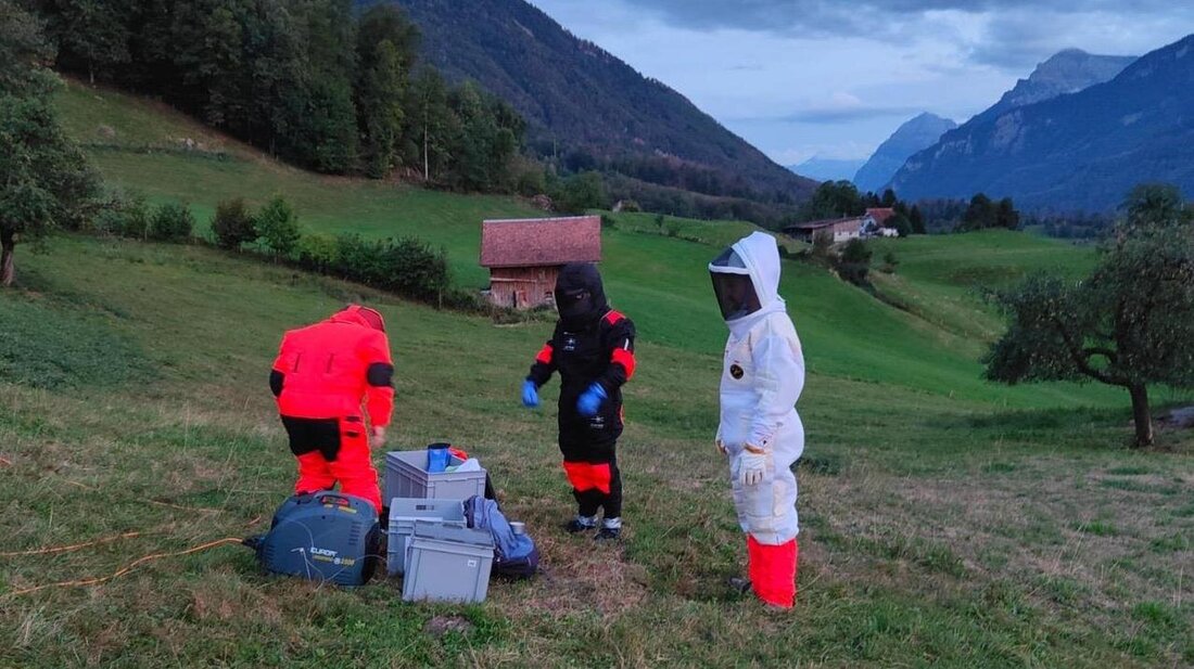 Im Schutzanzug: Die Experten bereiten sich am Dienstagabend auf die Entfernung des Hornissennests in Rufi vor. (Pressebild)