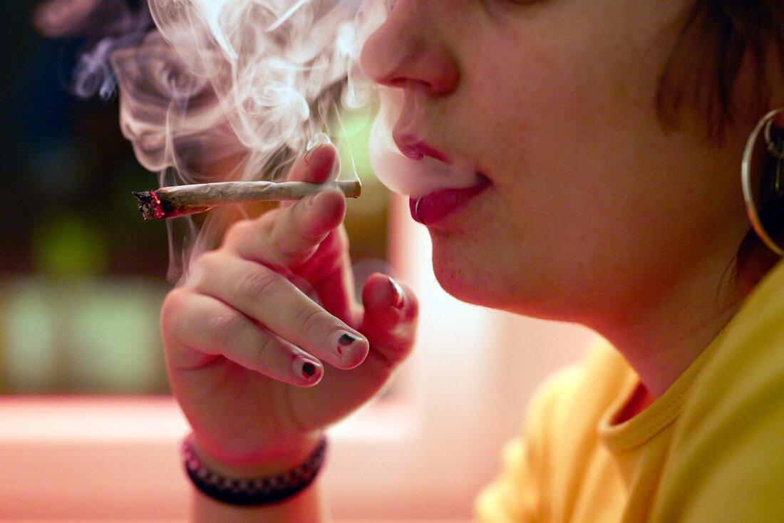 Bald ganz legal? Mit einer Studie im Kanton St.Gallen sollen Grundlagen für eine spätere Liberalisierung von Cannabis geschaffen werden.
(Bild: Christof Schürpf/Keystone)
