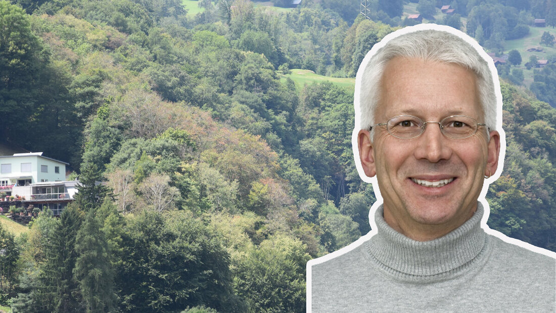 Ein Warnsignal der Natur: Wenn im Sommer bei den Bäumen bereits Herbst ist, bedeutet das nichts Gutes. (Pressebilder)