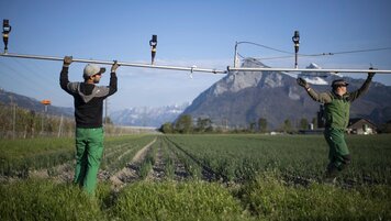 205244_205360.jpg