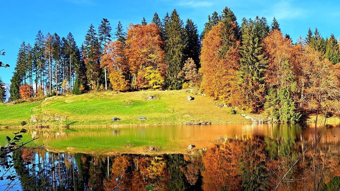 Herbstpracht, im Chapfensee gespiegelt. (Edith Good)