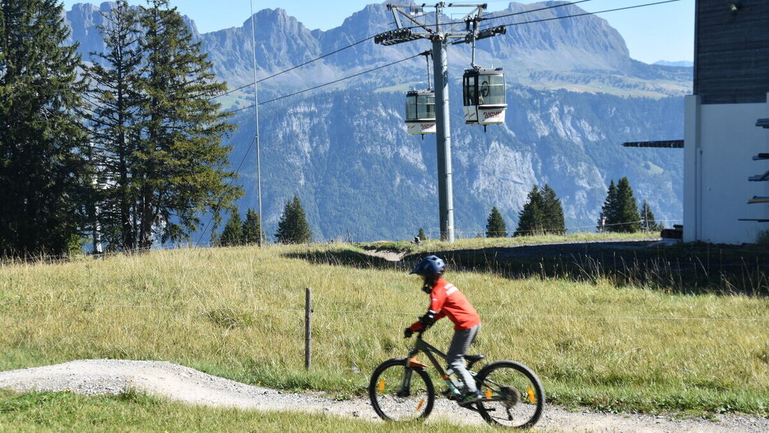 Sehr beliebt, aber alt: Der Prodalp-Express. Die Bergbahnen warten auf die Bewilligung für einen kompletten Neubau der Bahn. (Bild: Reto Vincenz)