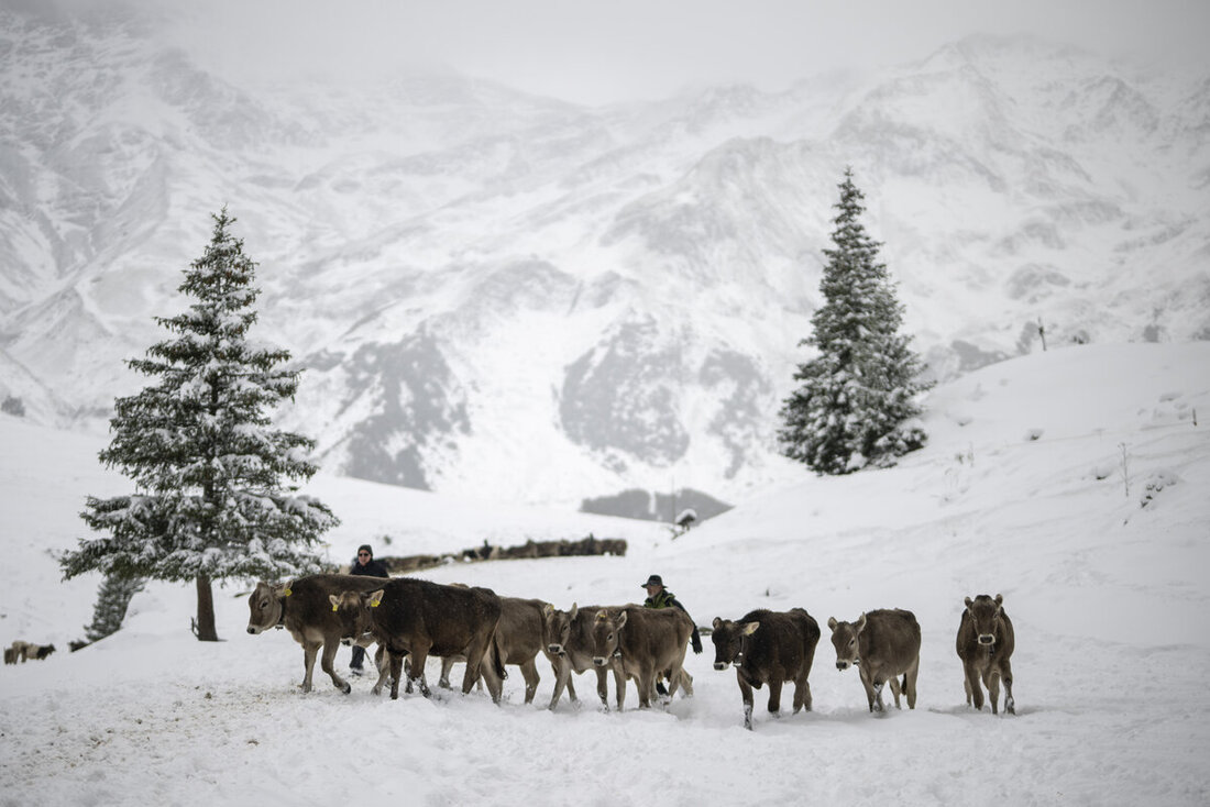SCHWEIZ HERBST WINTER ALPABZUG