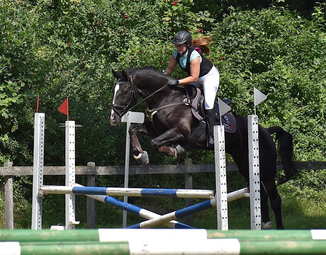 Impressionen von der Vereinsmeisterschaft des Reitvereins Gonzen. (Pressebild)