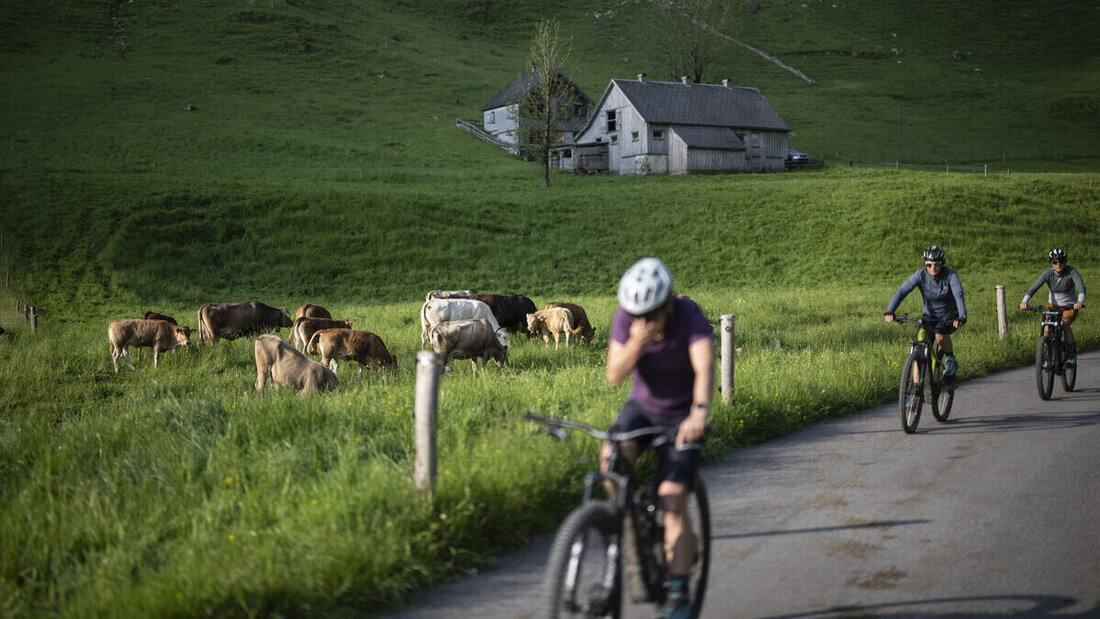 E-Biker fahren heute bis in die Alpen: Oft ist es ungünstig, wenn dort der Akku leer geht. (Bild: Gian Ehrenzeller/Keystone)
