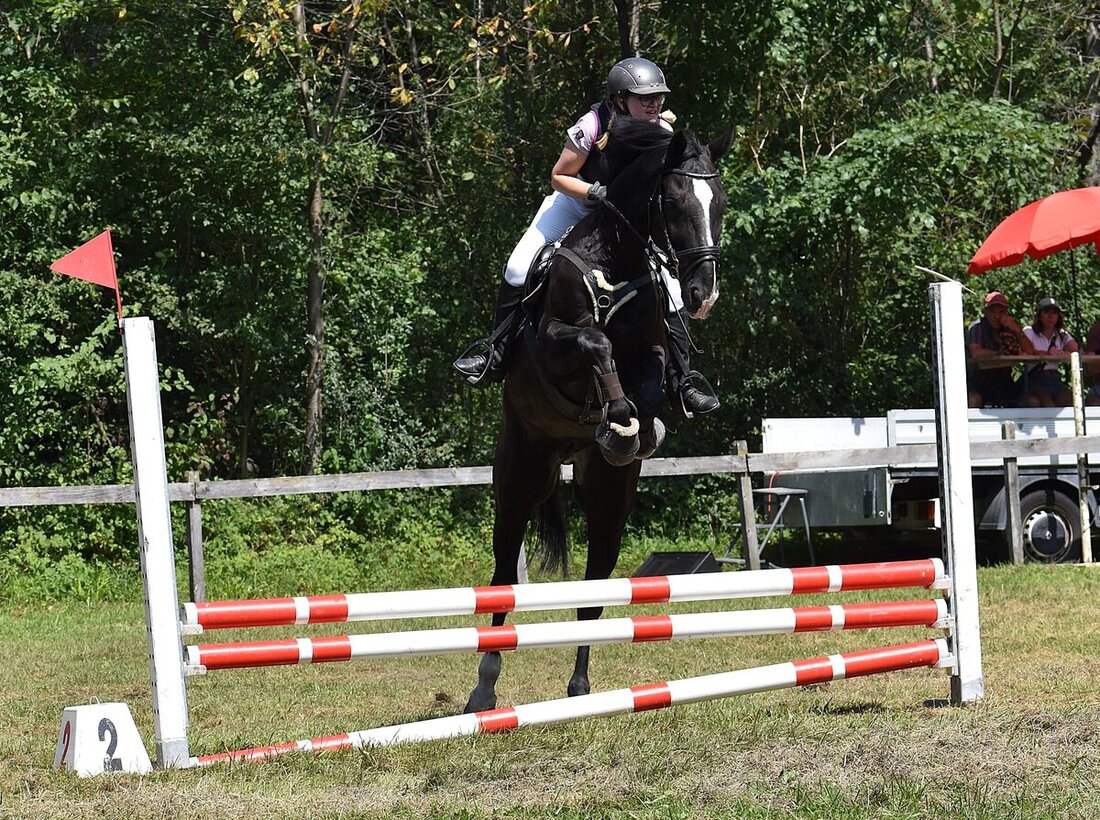 Impressionen von der Vereinsmeisterschaft des Reitvereins Gonzen. (Pressebild)