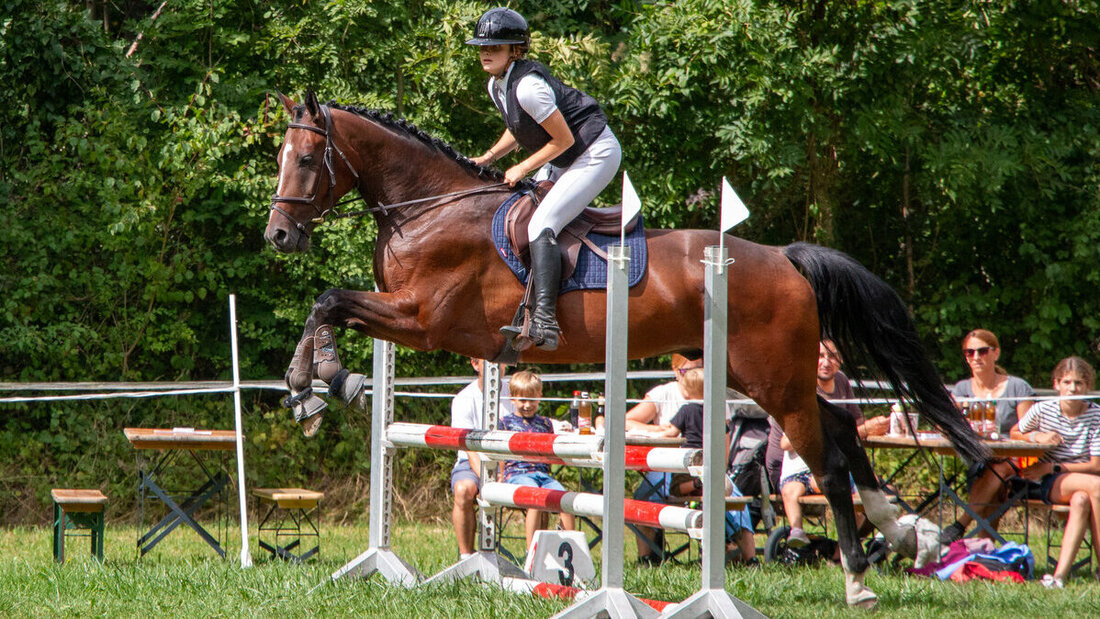 Die Besten des Reitvereins Gonzen: Magdalena Vollmar und Sr. Lightning bei den Junioren. (Pressebild)