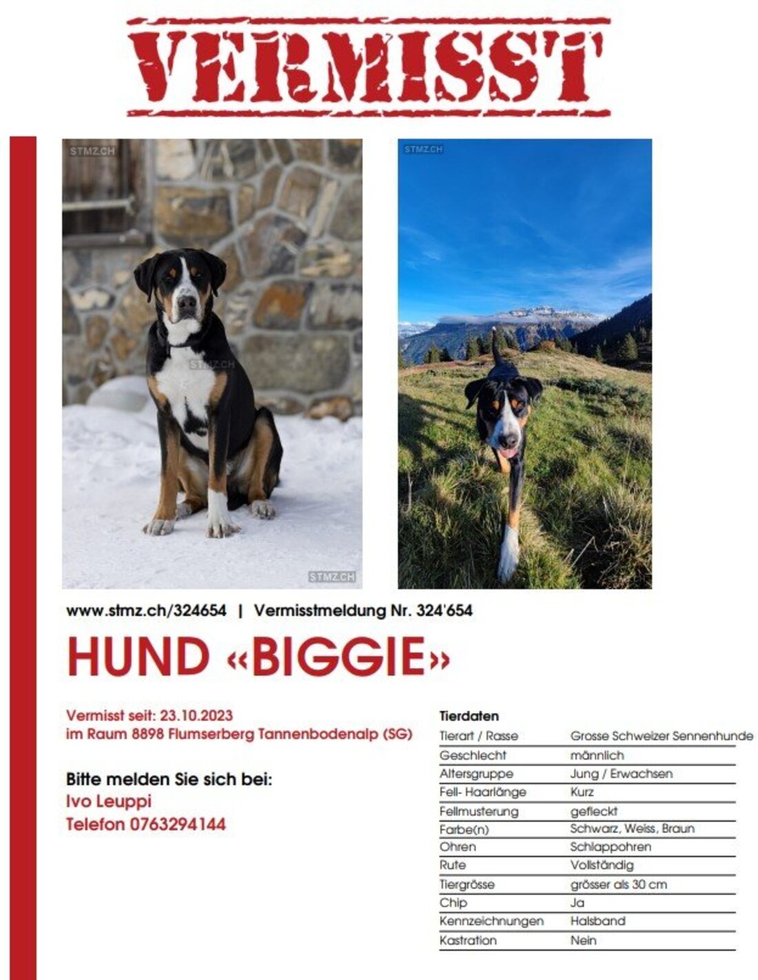 Mit diese Anzeige wird Biggie gesucht.