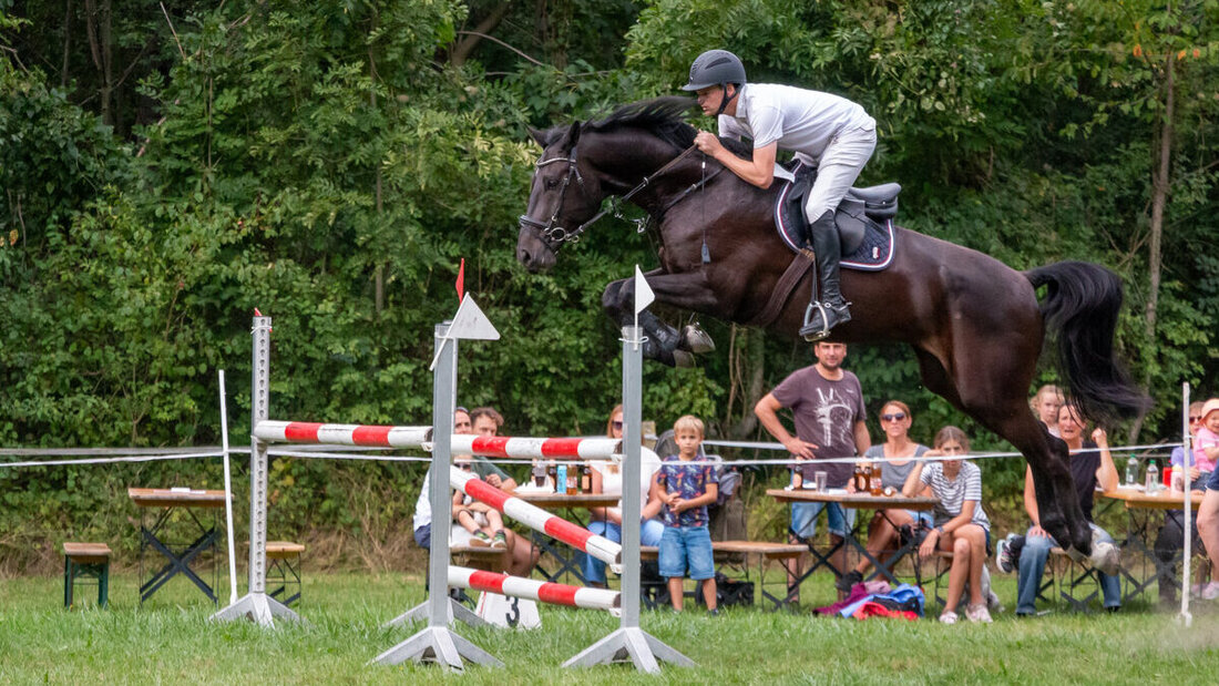 Die Besten des Reitvereins Gonzen: Patrick Tschirky mit Comtamo von Worrenberg im Springen. (Pressebild)