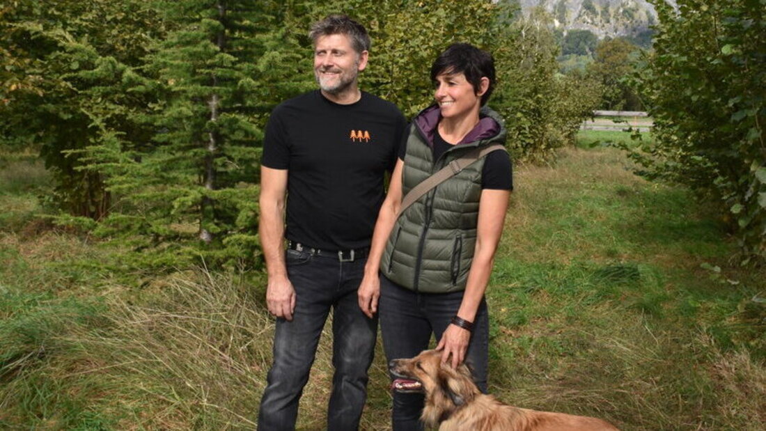 Freuen sich über den lang erhofften Erfolg mit dem schwarzen Gold: Urs Horni und Andrina Bisaz in ihrer Trüffelplantage in Bad Ragaz. (Bilder Katrin Wetzig)