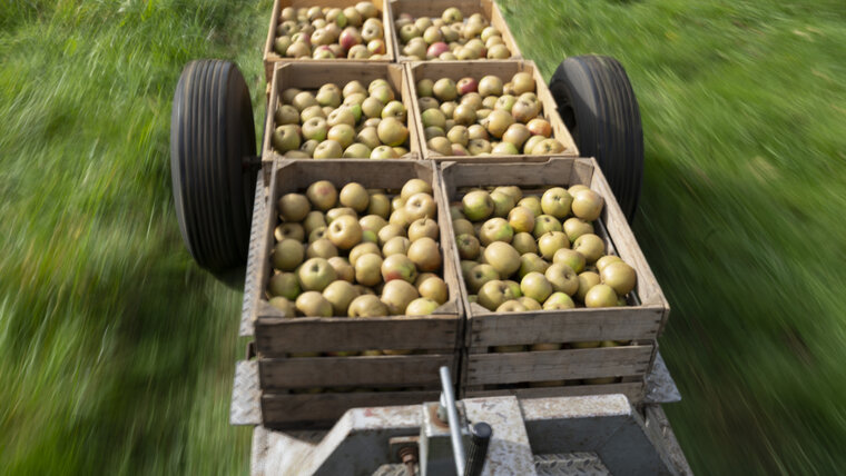 KEYSTONE/GAETAN BALLY 20250908124408684.jpg