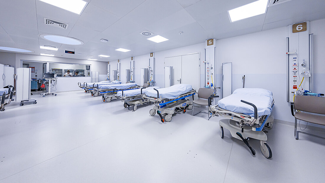 Mykoplasmen waren seit Corona verschwunden. Nun sind die Bakterien, die Lungenentzündungen verursachen können, wieder aufgetaucht. (Symboldbild) 20231123133257524.jpg