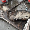 Handout: Kantonspolizei Graubünden 20260806170638024.jpg
